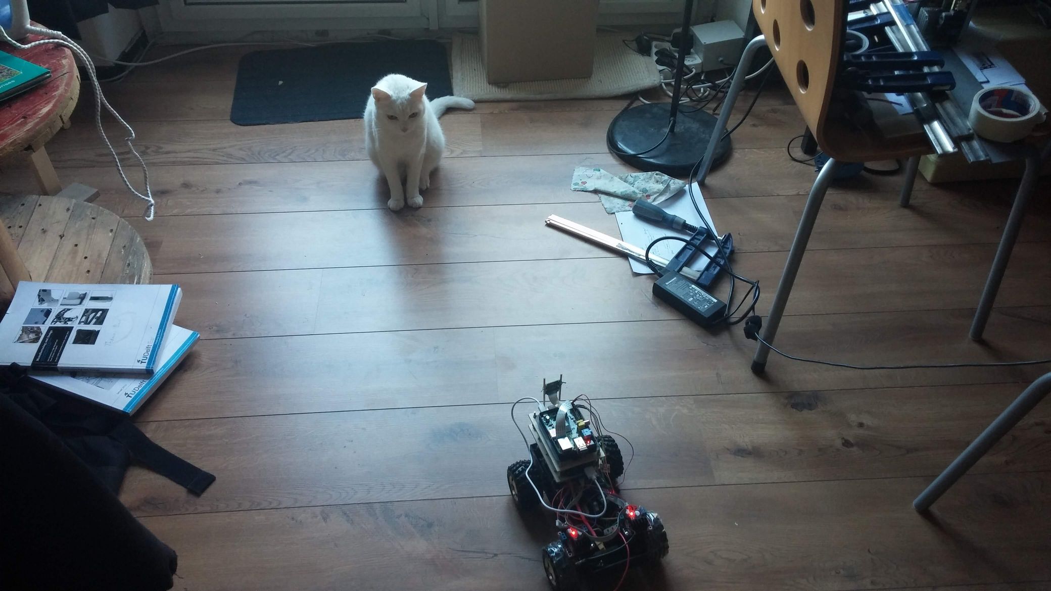 A small remote controlled car to play with your cat from anywhere on the world.